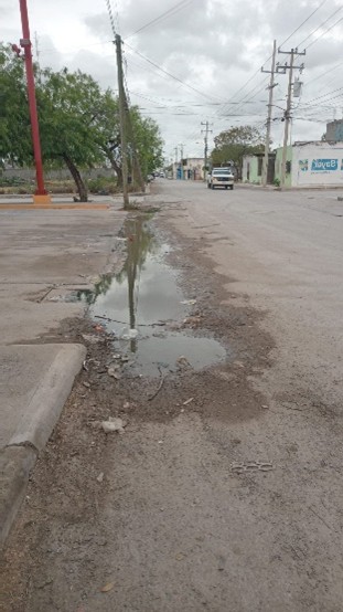 Imagen de la obra